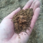 702499_344759255694029_353184252_n