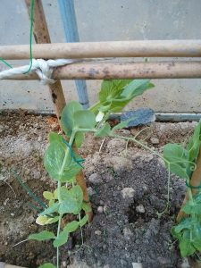 img_20170220_1410101